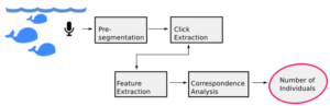 Detection System