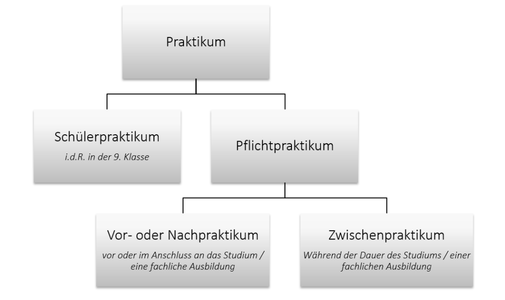 Schaubild Praktika