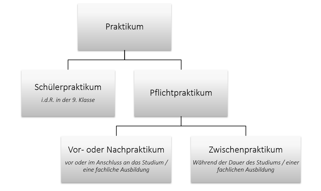 Wie Lautet Der Plural Von Praktikum www.hsu-hh.de