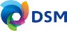 DSM Logo
