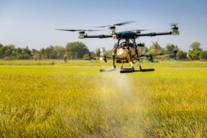 Modern smart farm with drone. Agriculture drone fly to sprayed fertilizer on the rice fields.