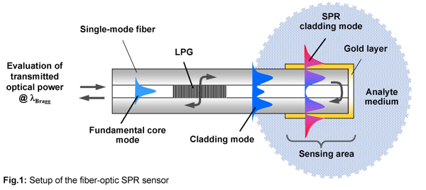 SPR Sensor