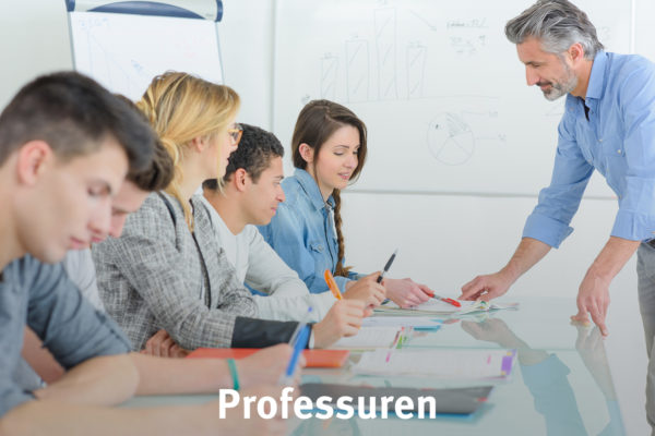 Bild Professuren