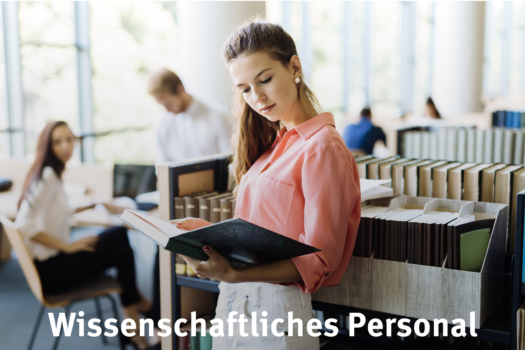 Bild Wissenschaftliches Personal