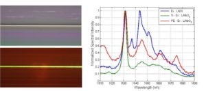 Fluorescence in LNOI ridge waveguides