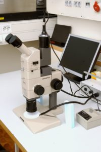 Stereomikroskop OLYMPUS