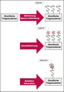 Adsorption