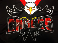 Eishockey Logo