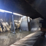 MISDRO_begehung_02