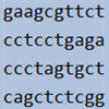 categorial time series