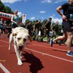 Zwei Läuferinnen mit Hunden auf einer Tartan-Bahn