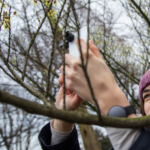 Stressiger Alltag verstellt den Blick aufs Schöne