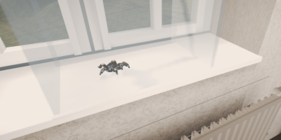 Screenshot einer Virtual-Reality-Anwendung mit einer virtuellen Spinne auf einer Fensterbank vor einem Fenster in einem simulierten Raum.